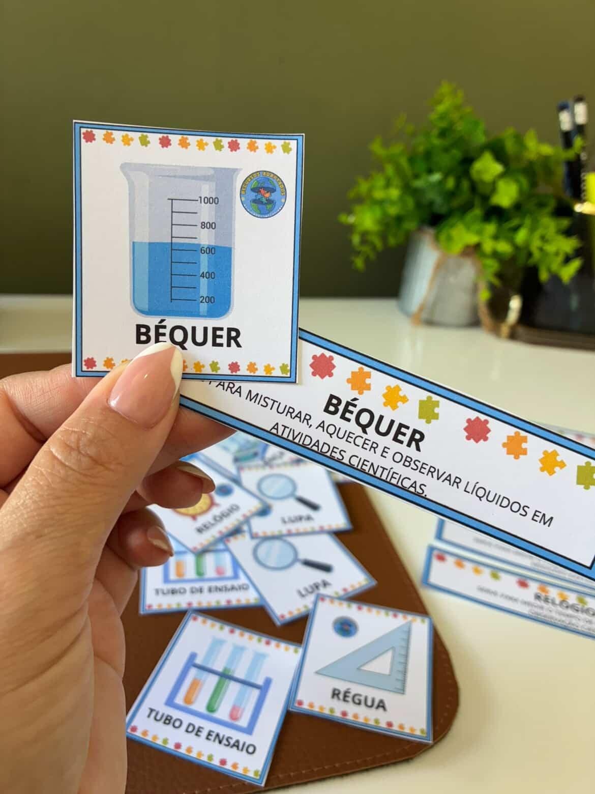 Jogo da memória instrumentos e práticas científicas